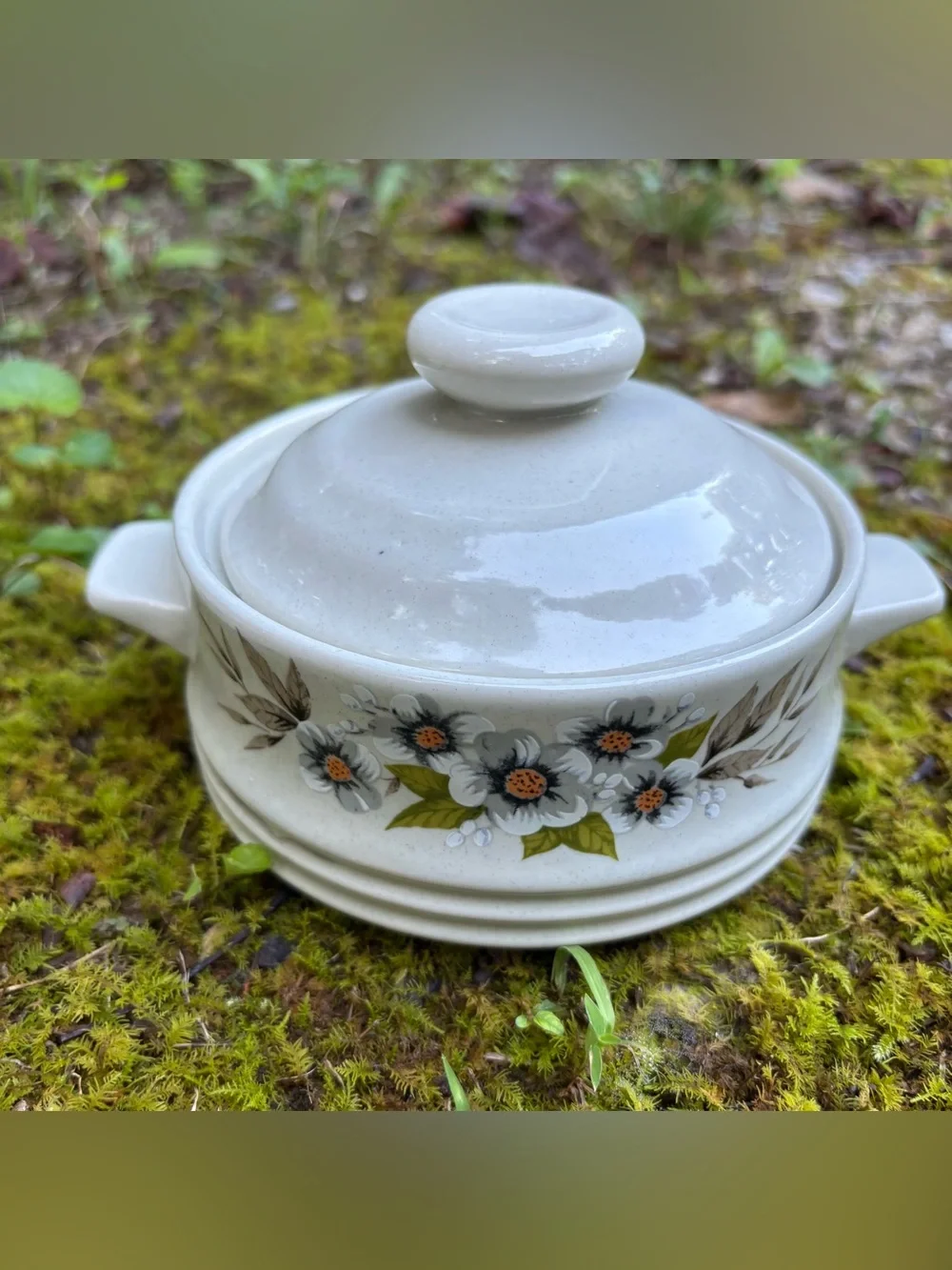 Vintage 1980 Heavenly Bake, Serve 'n Store Stoneware Dishes with Lids - Set of 2